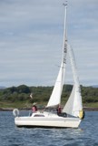 cirrus gbr3229l whyw24 sun 800 5389